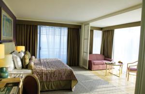 تور ترکیه هتل ریکسوس داون تاون - آژانس مسافرتی و هواپیمایی آفتاب ساحل اّبی